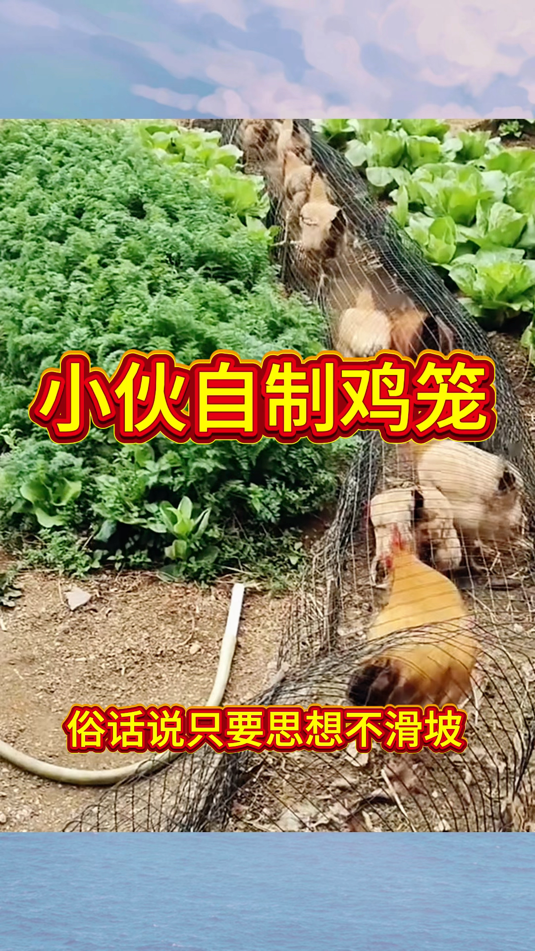 小伙自制鸡笼,果然是一个人才