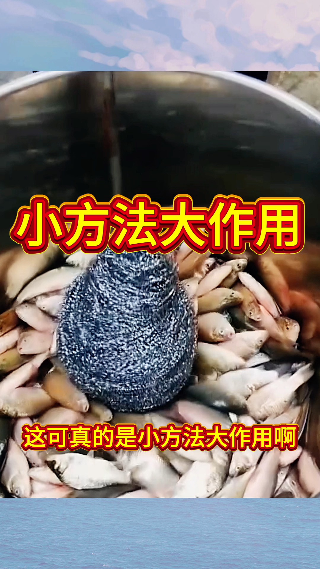 小方法大作用,居然是用这样的方式去除鱼鳞的