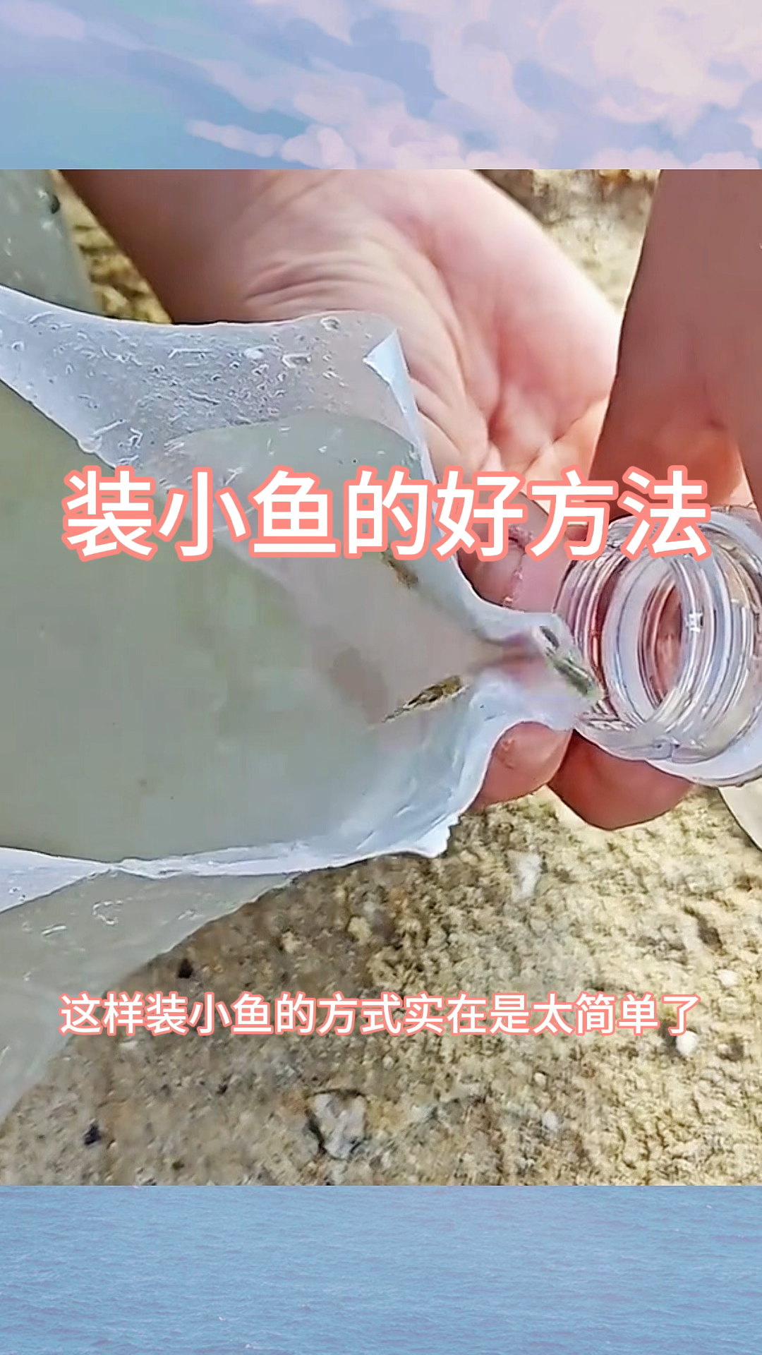 装小鱼的好方法，这一招太实用了
