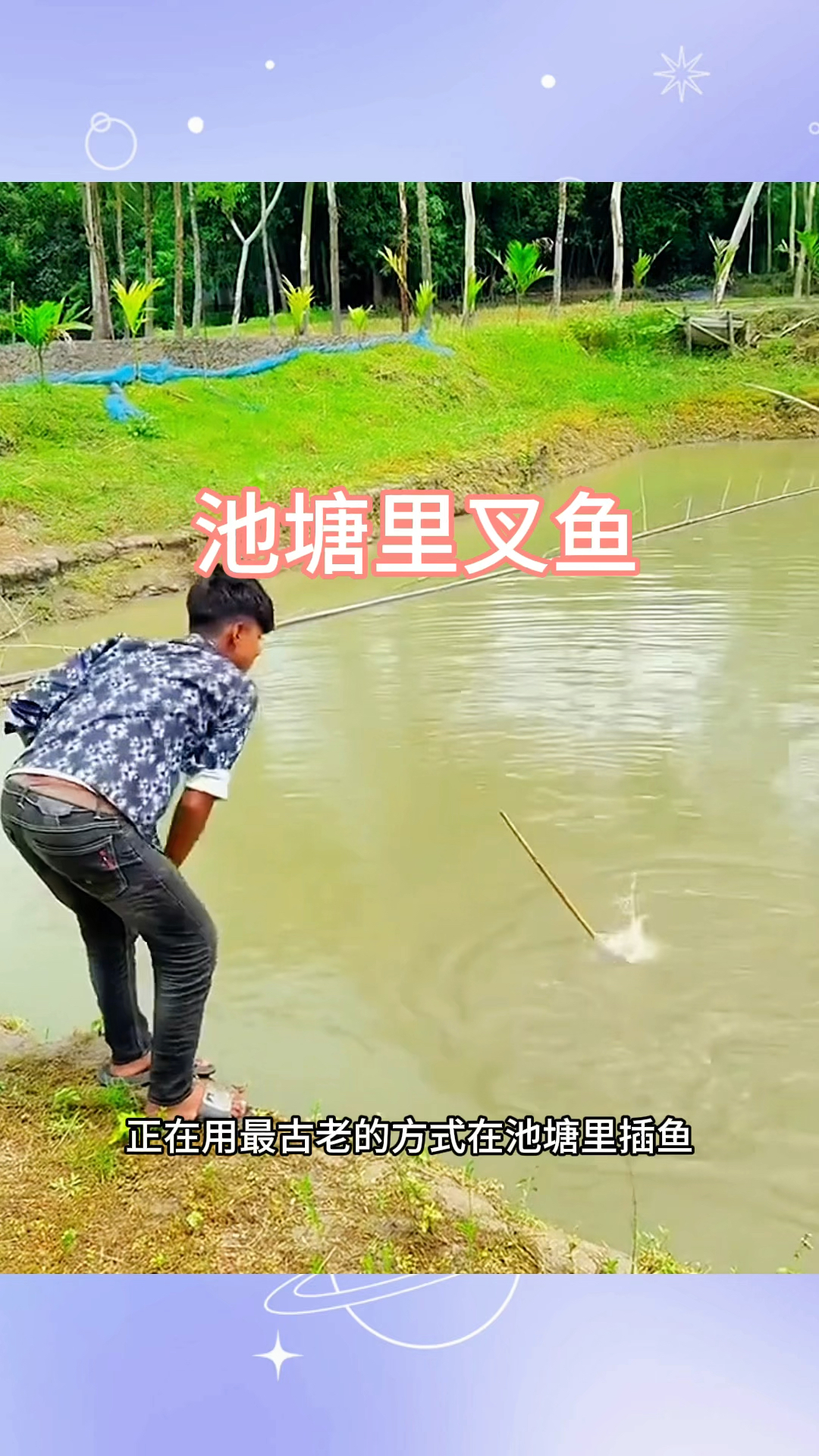 池塘里叉鱼,鱼叉居然让鱼带跑了