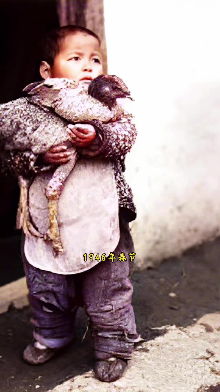 春节里的温情瞬间:小男孩紧抱大公鸡,乞求的眼神让人动容