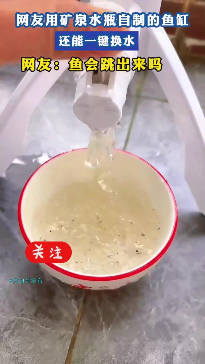 网友用矿泉水瓶自制的鱼缸,还能一键换水,网友:鱼会跳出来吗
