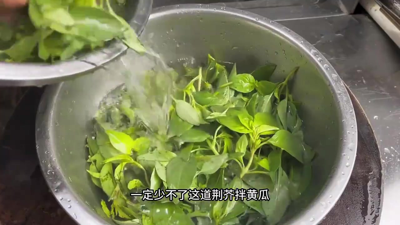 荆芥拌黄瓜，你们学会了吗