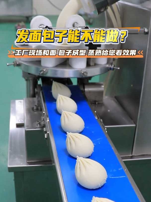 发面包子能不能做?工厂现场和面 包子成型 蒸熟给您看效果