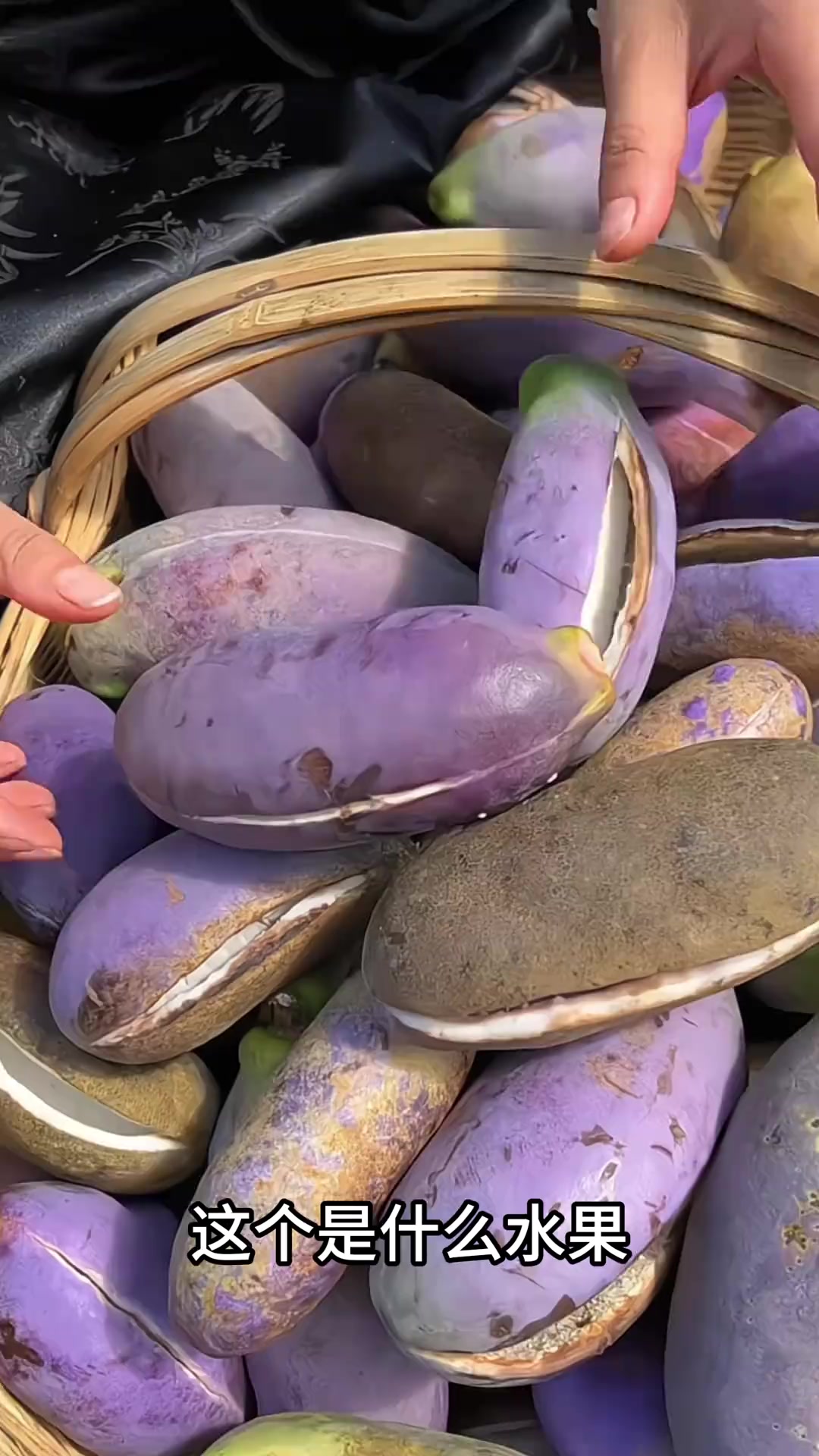分享一些小众水果，你都认识几种？
