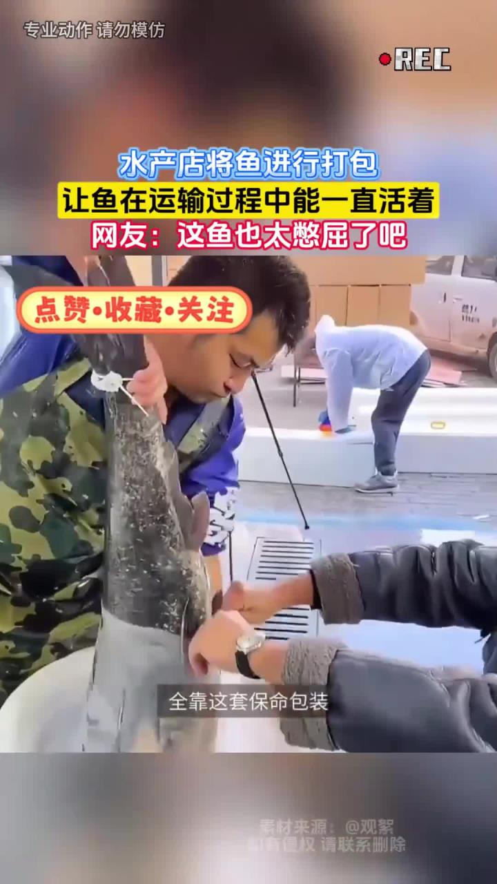 水产店将鱼进行打包,让鱼在运输过程中能一直活着 (2)