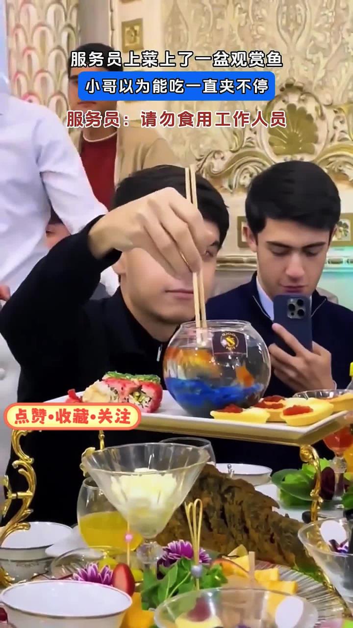 服务员上菜上了一盆观赏鱼,小哥以为能吃一直夹不停