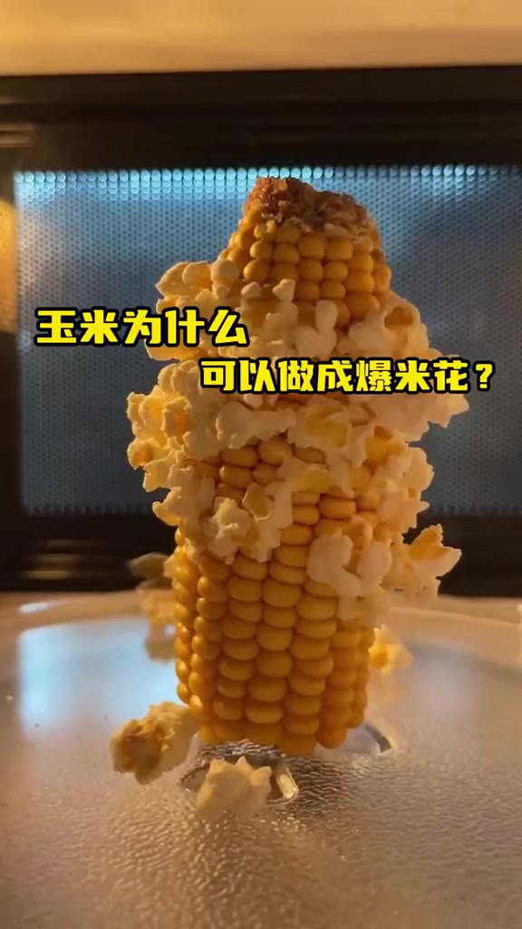 玉米可以制作爆米花，但你知道其中的原理吗？