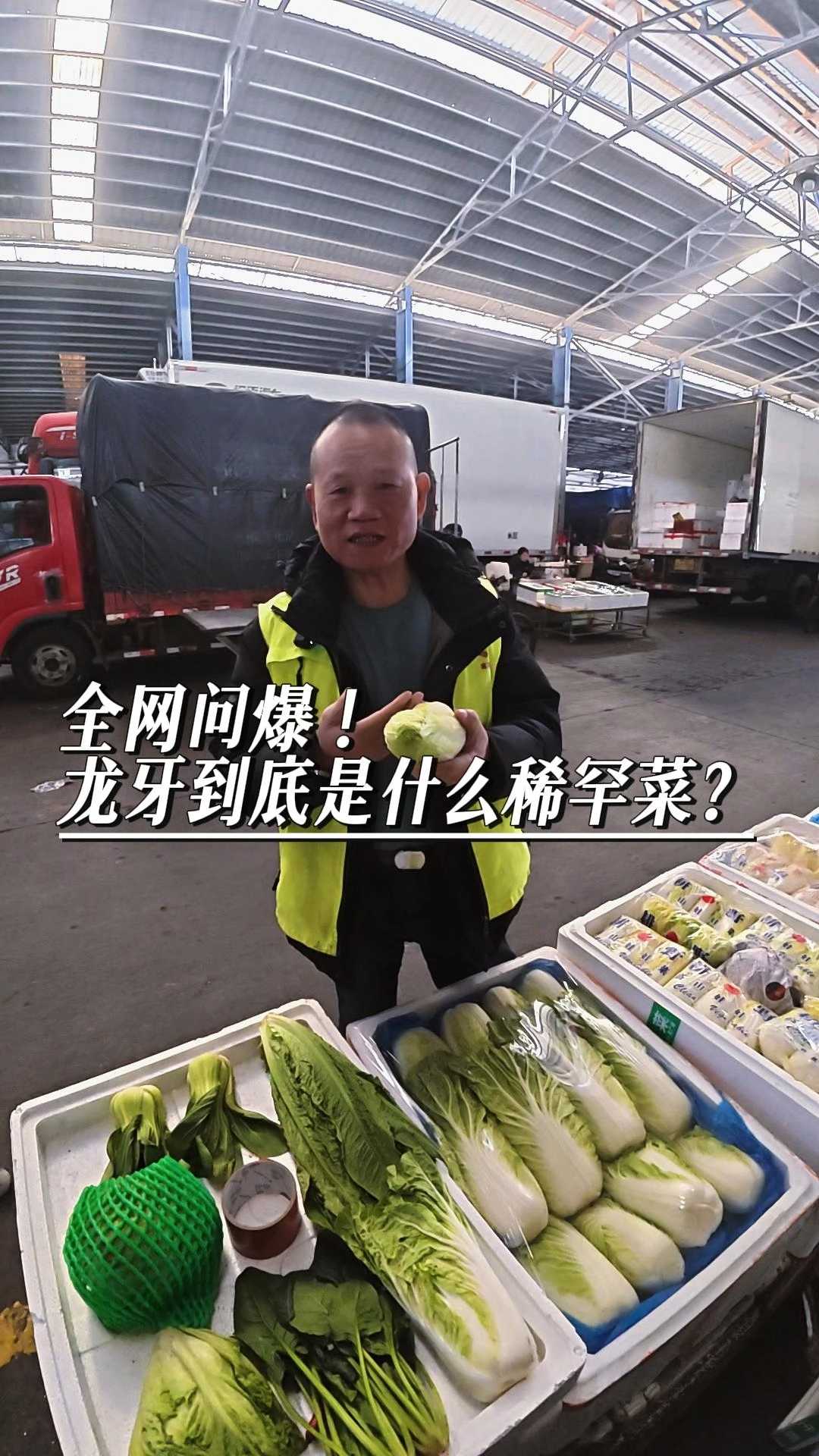 全网问爆!龙牙到底是什么稀罕菜?