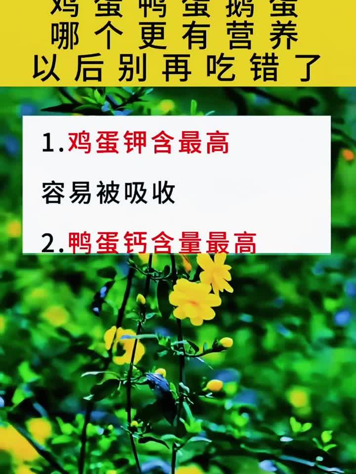 鸡蛋、鸭蛋、鹅蛋,功效各异!这样吃最养生,别吃错了