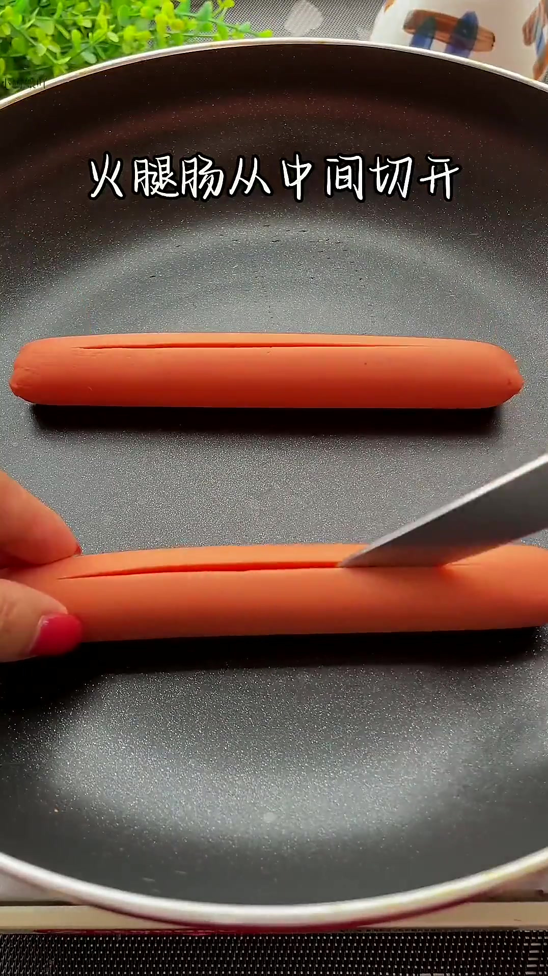 火腿肠的新吃法，打开情侣早餐的最佳模式，快做给你爱的人吃吧！