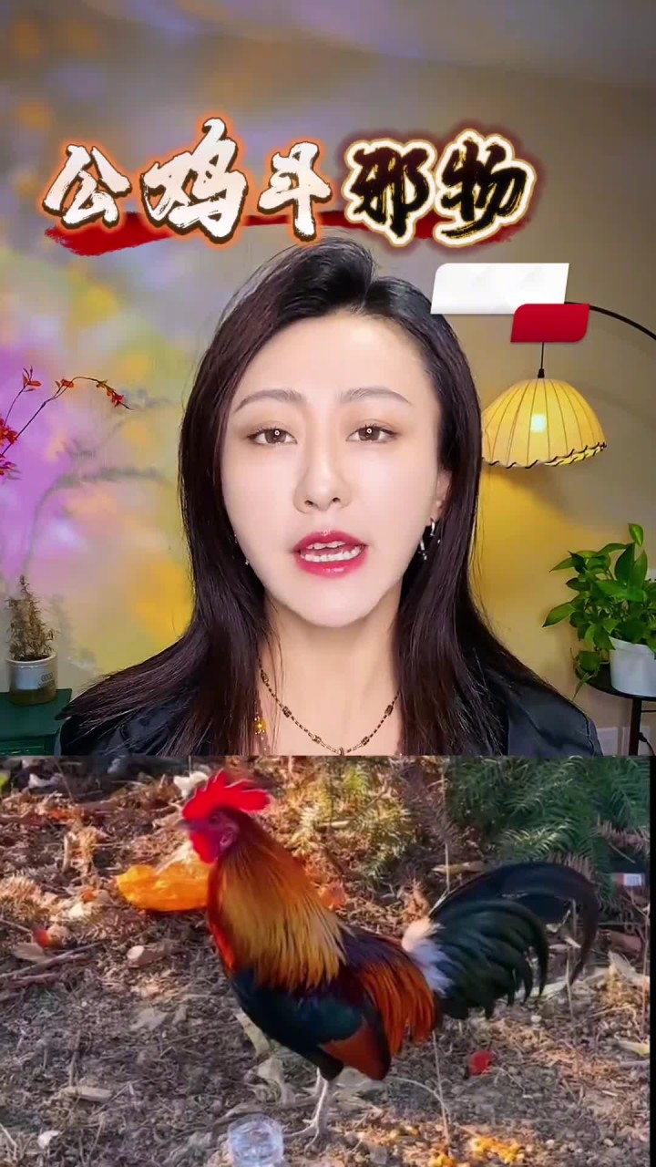 据说公鸡的一声啼鸣能击退一切邪物
