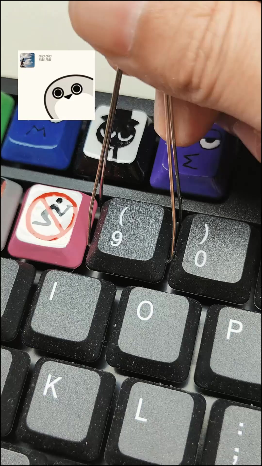 在键帽上画Q版萨卡班甲鱼