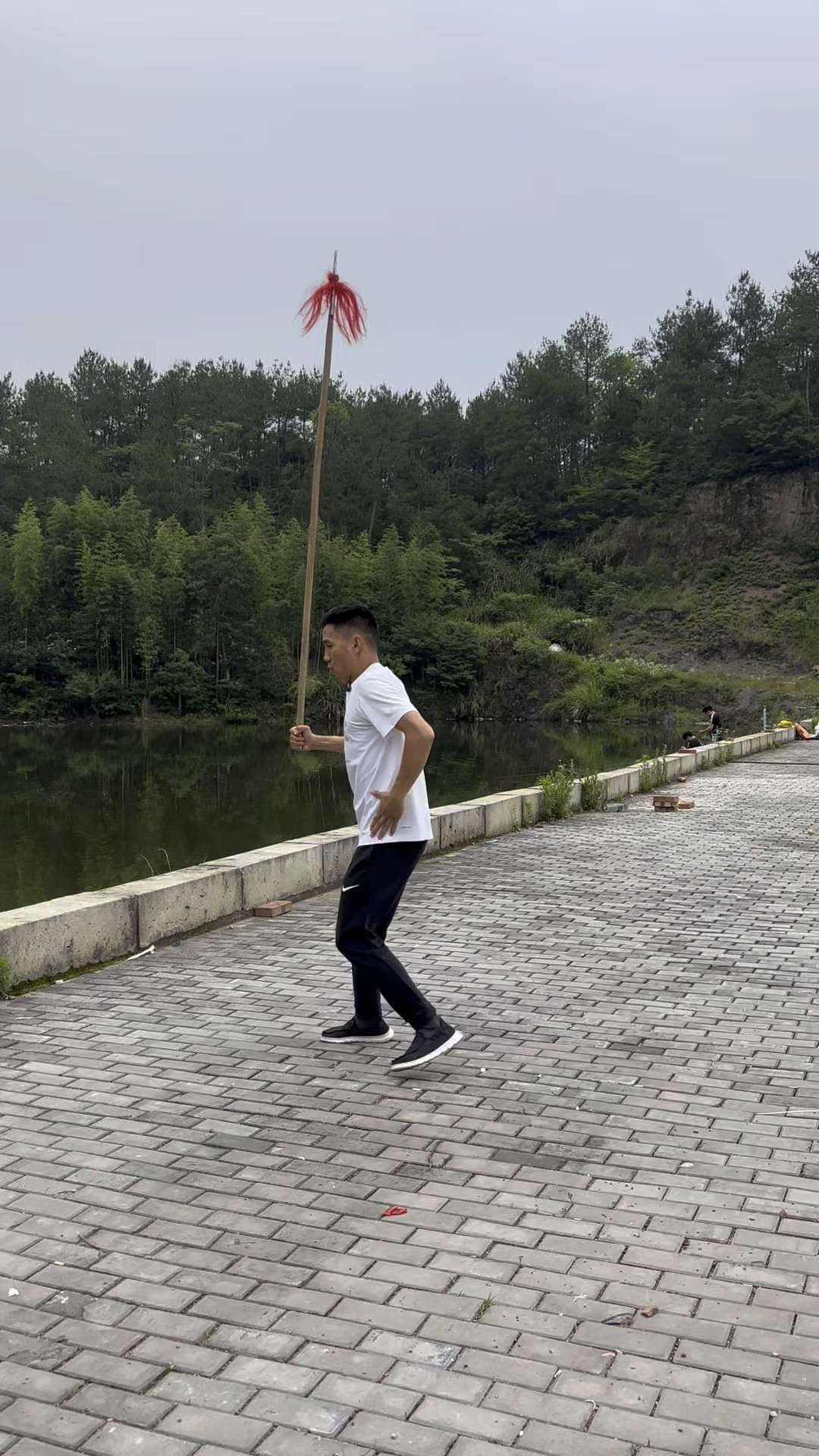 民间功夫枪法霸王枪