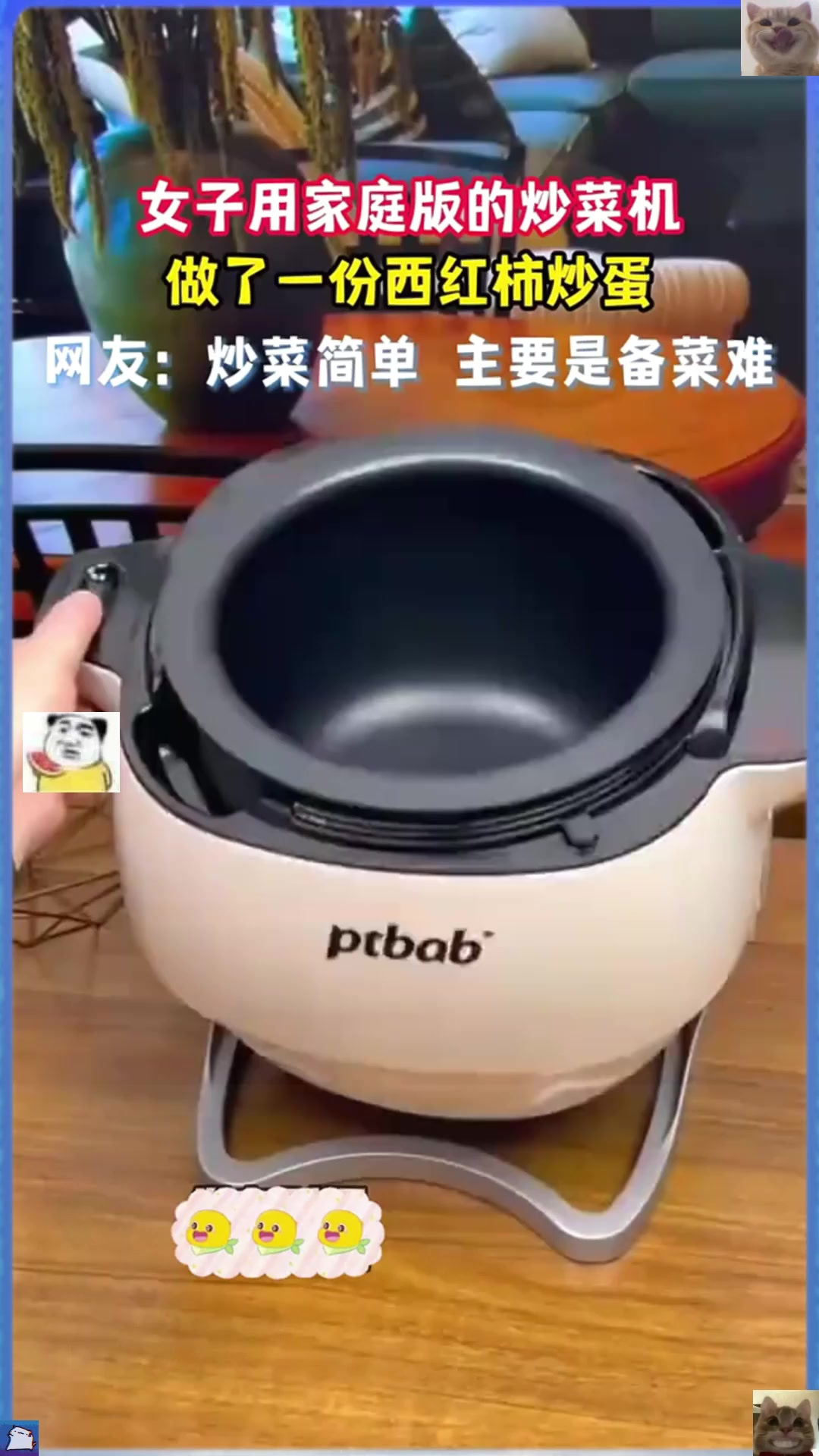 女子用家庭版的炒菜机,简单做了一份西红柿炒蛋