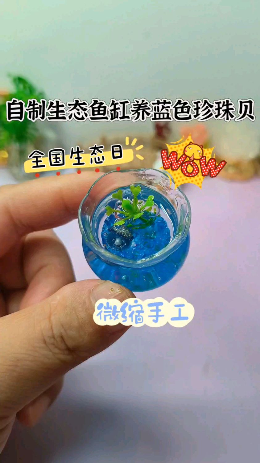 全国生态日玩出新花样，微缩生态鱼缸养极光扇贝全攻略