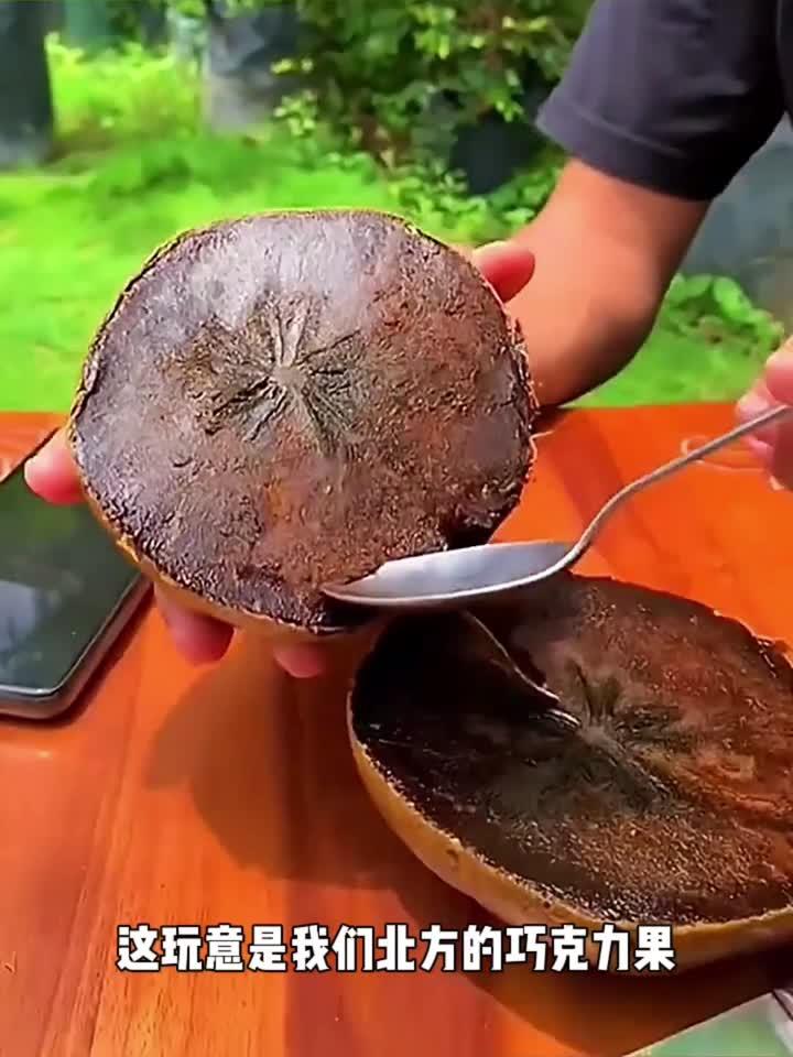 北方的巧克力果,你吃过吗?