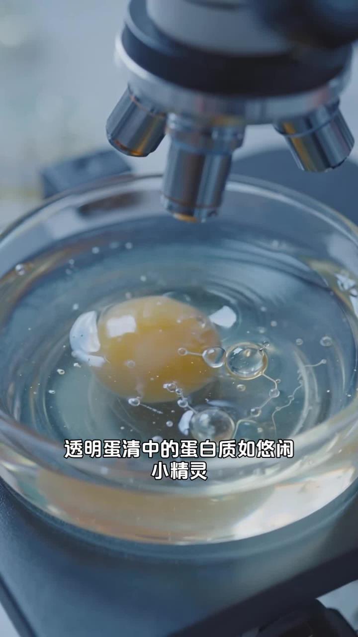 科学实验:鸡蛋的煮熟变化:蛋白质变性,透明蛋清变白凝固