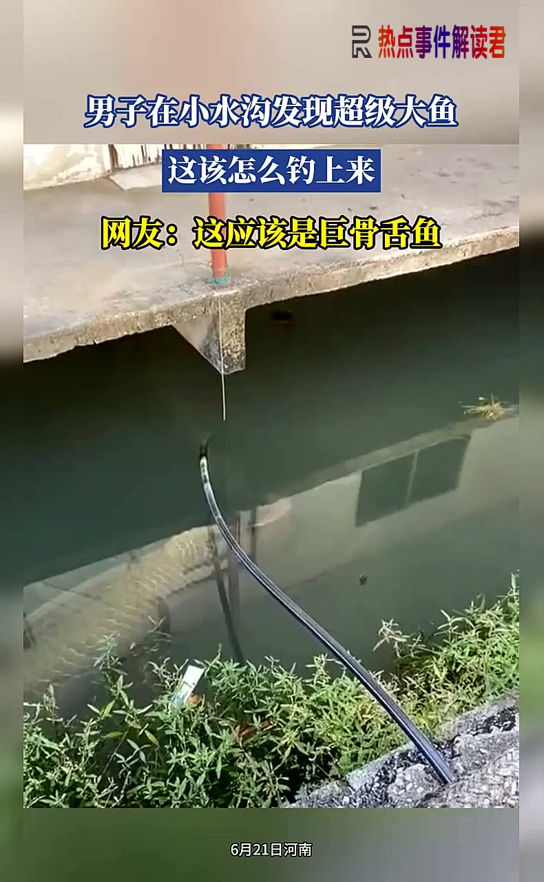 男子在小水沟发现超级大鱼,这该怎么钓上来