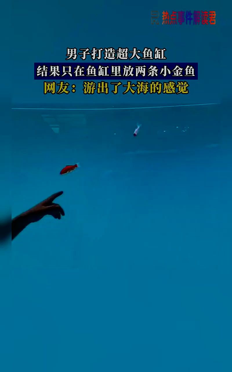 男子打造超大鱼缸，结果只在鱼缸里放两条小金鱼
