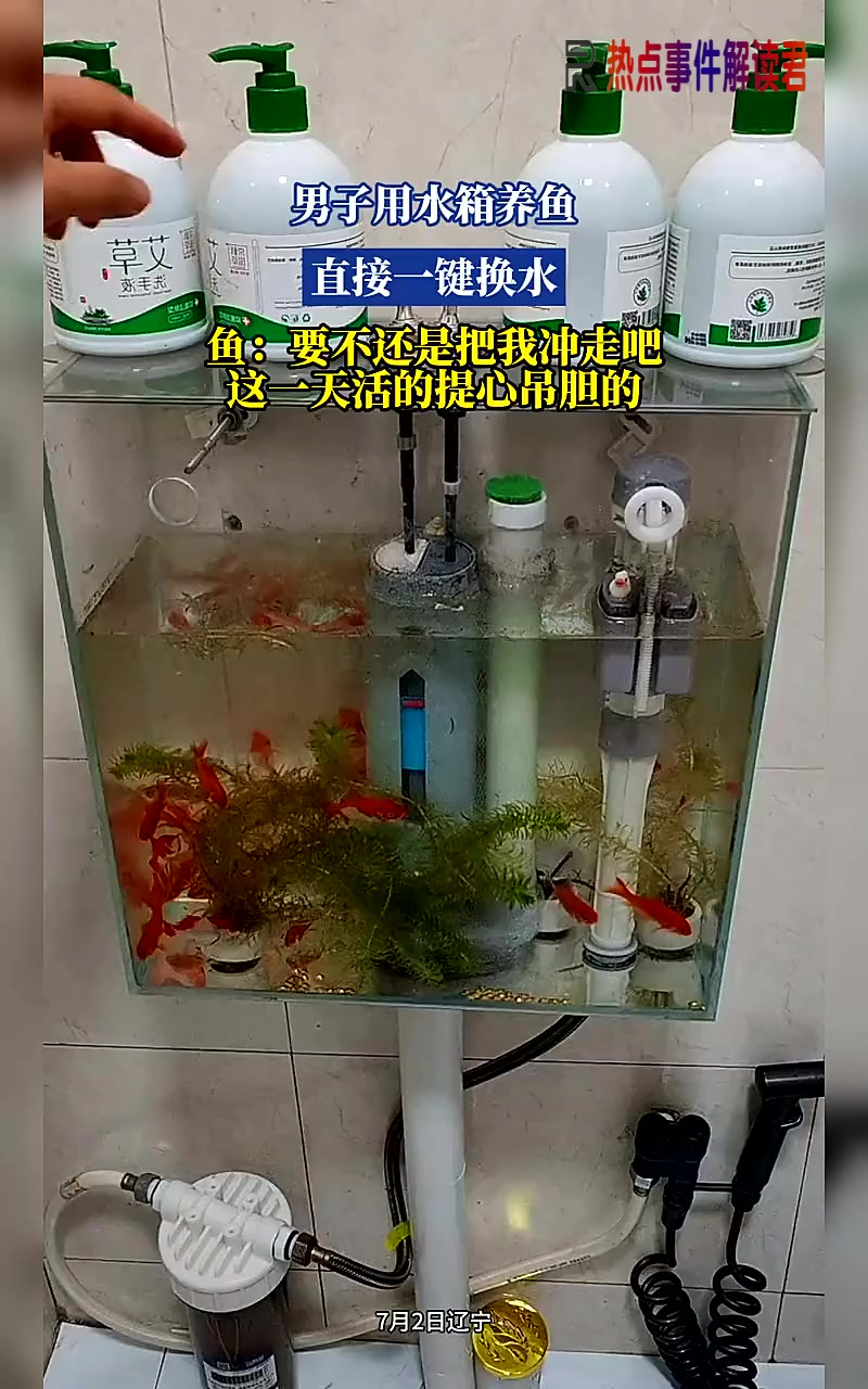 男子用水箱养鱼,直接一键换水,鱼:要不还是把我冲走吧