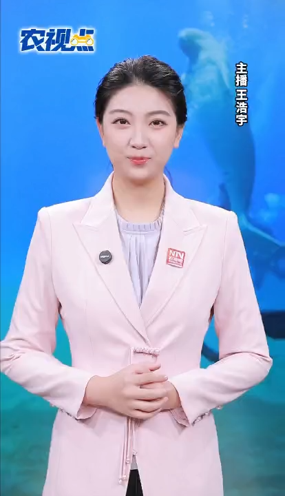 消失的“美人鱼”为何突然现身？