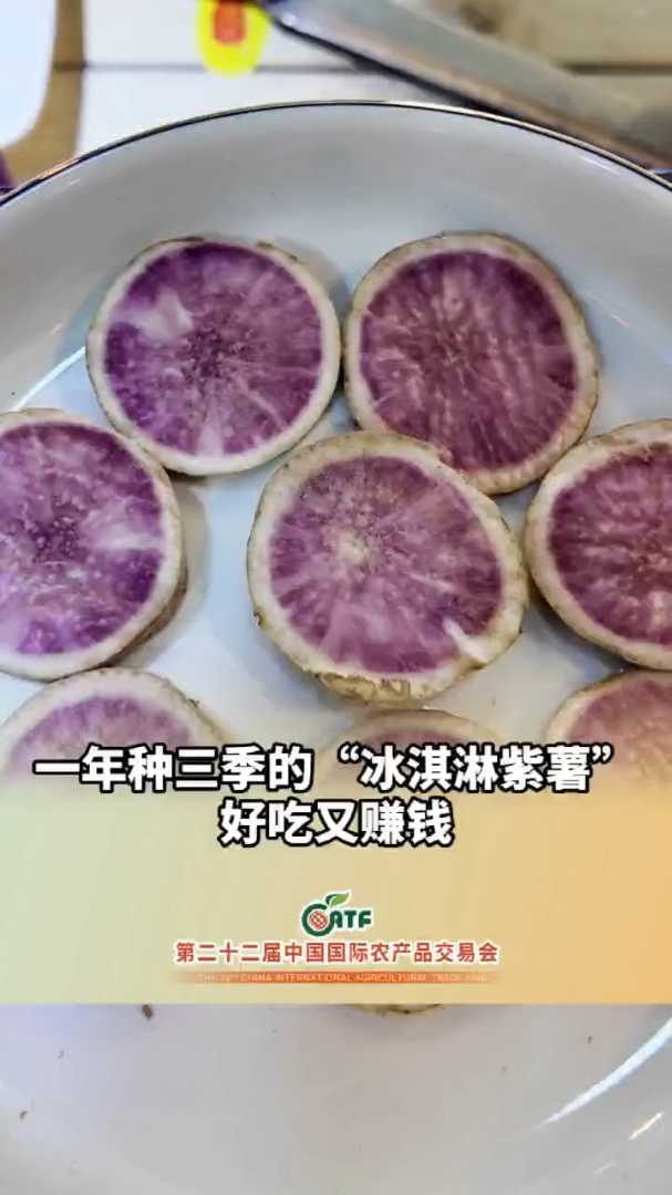 一年种三季的“冰淇淋紫薯” 好吃又赚钱