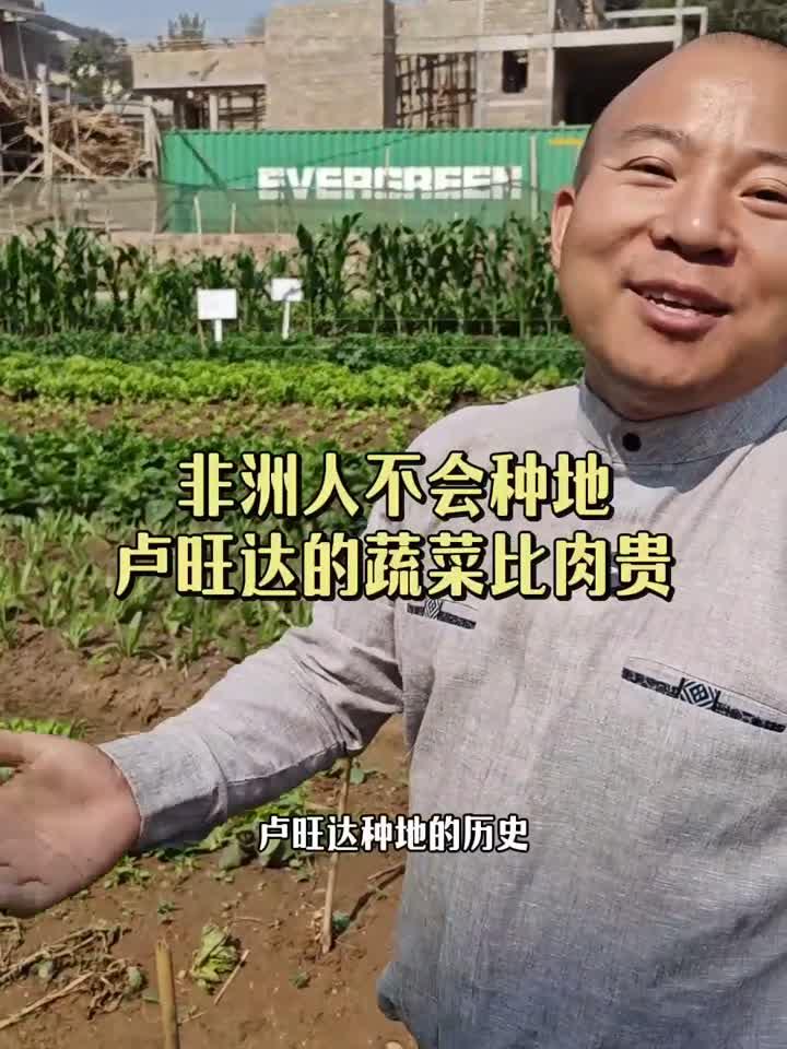 中国人最种地,到了非洲秒杀当地人!非洲的蔬菜比肉太贵的多!