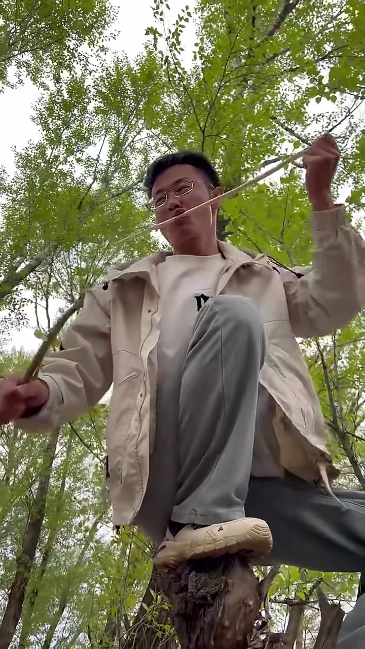 甜苣菜你们吃过没,老曹馋哭了