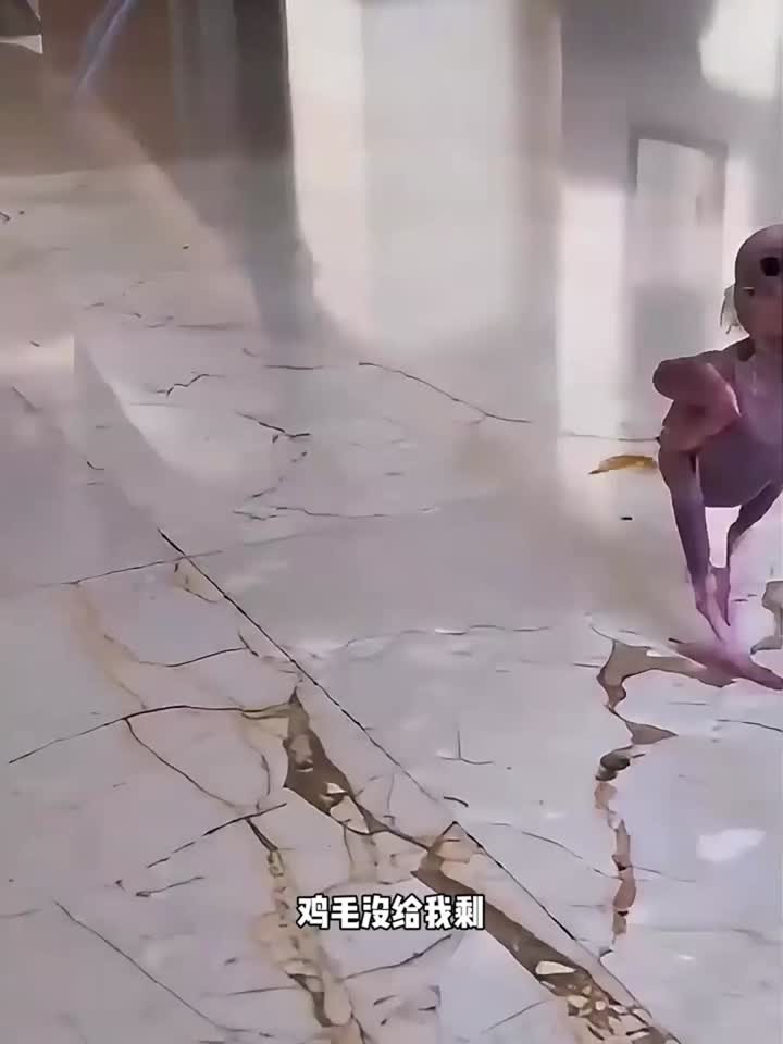 这次真惨了,鸡毛没剩啊!
