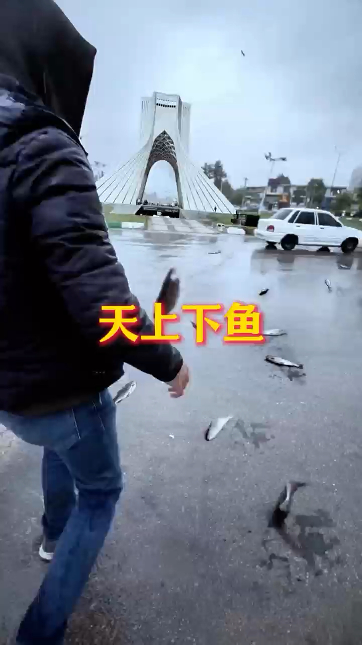 你知道天上为什么会下鱼吗?