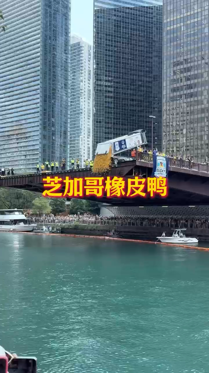 芝加哥橡皮鸭大赛