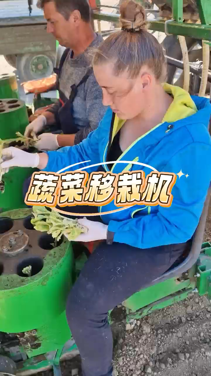 蔬菜移栽机种菜方便高效