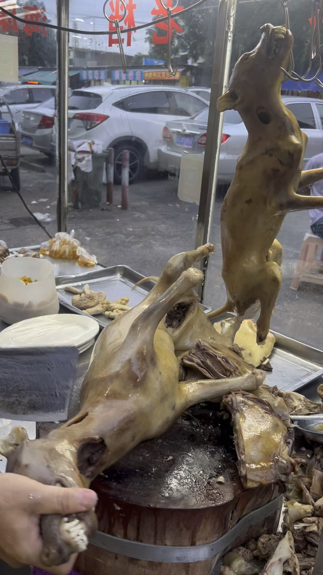 前胛排肉质鲜嫩,砍成小块,太下饭了