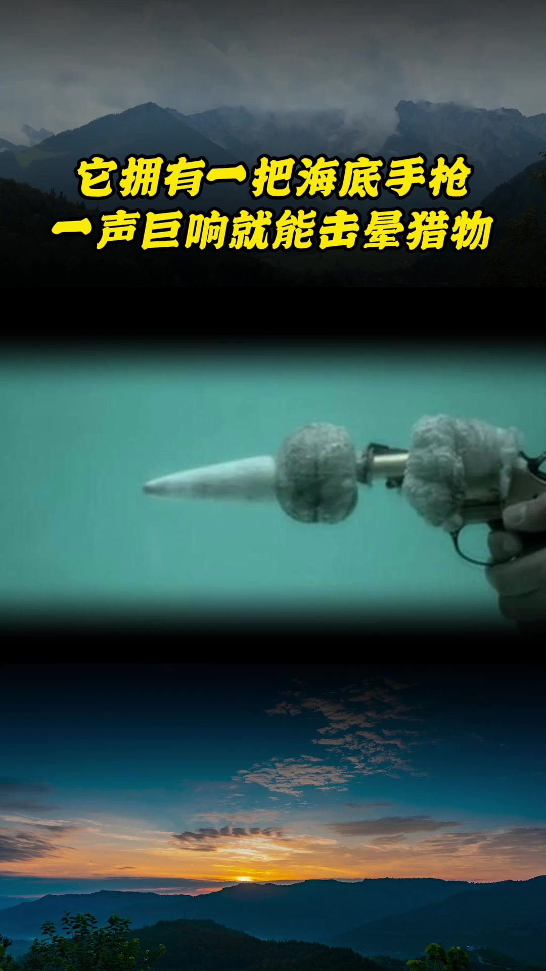 它拥有一把海底手枪,一声巨响就能击晕猎物