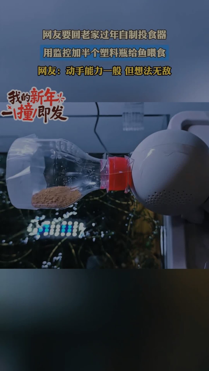 自制投食器监控喂鱼,网友回老家过年,塑料瓶巧变智能装置