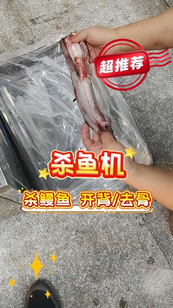 杀鳗鱼