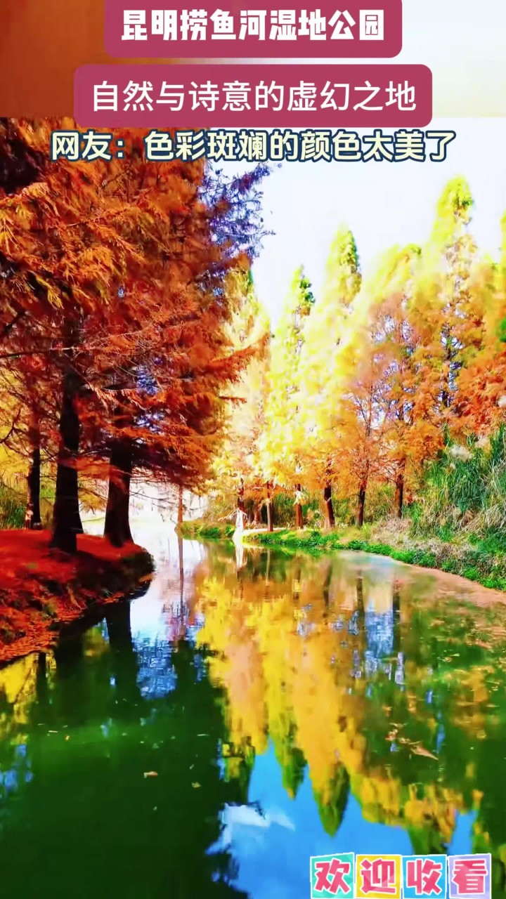 昆明捞鱼河湿地公园,自然与诗意的梦幻之地。旅游推荐