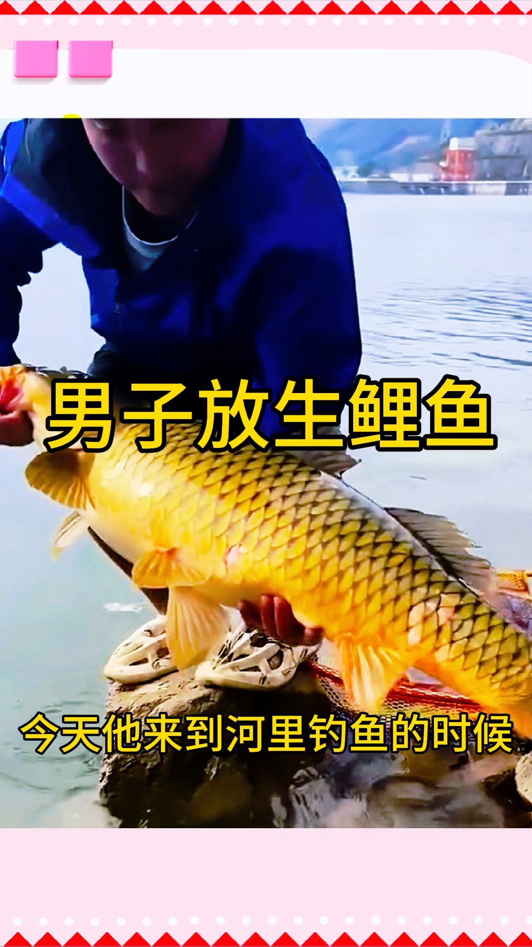 男子放生鲤鱼,让它重获了自由