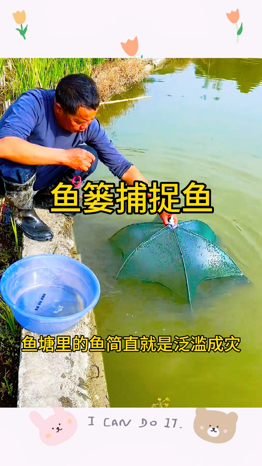 鱼塘里的鱼泛滥成灾,男子利用鱼篓捕捉鱼货