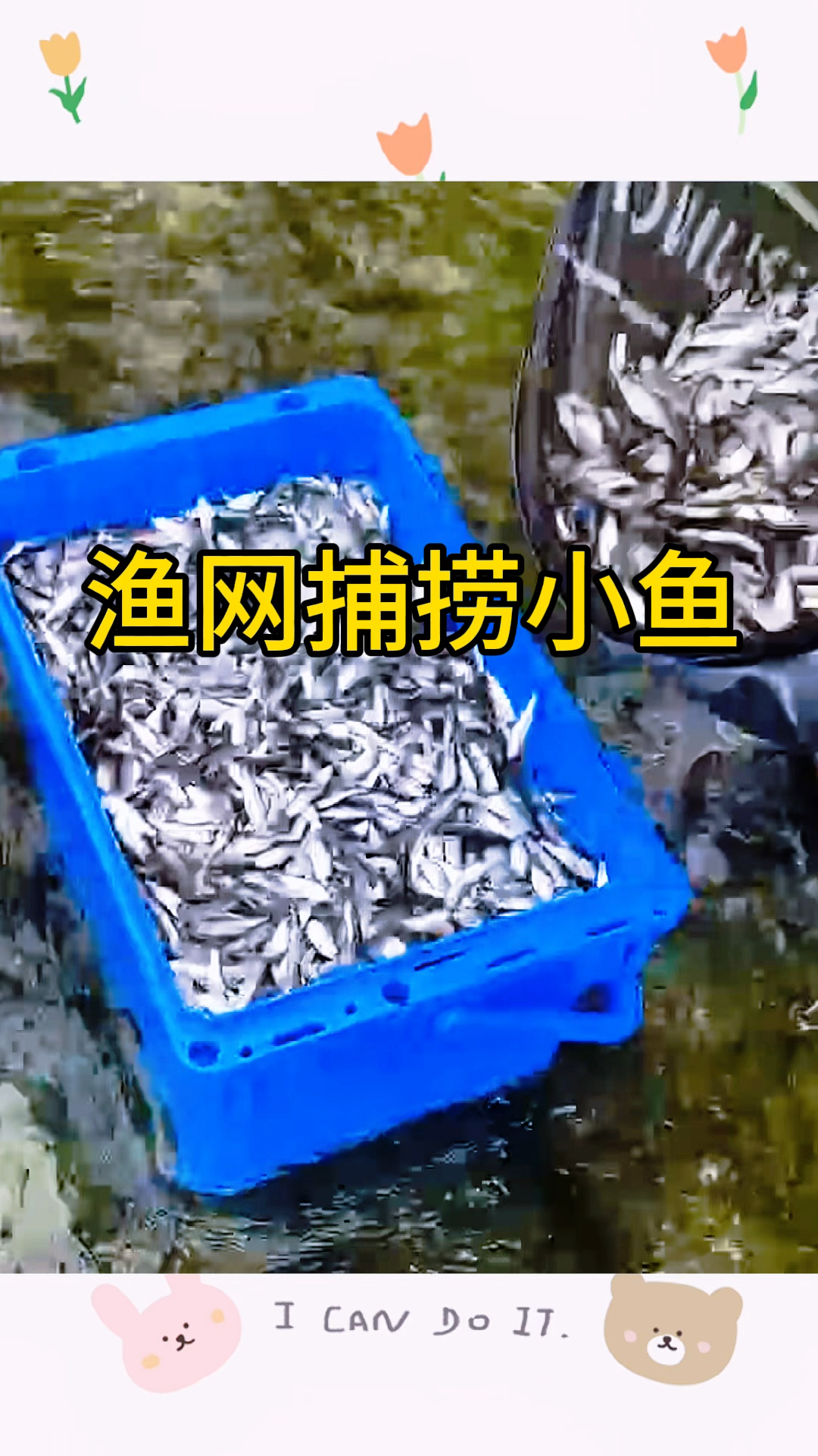男子利用渔网捕捞小鱼,收获满满