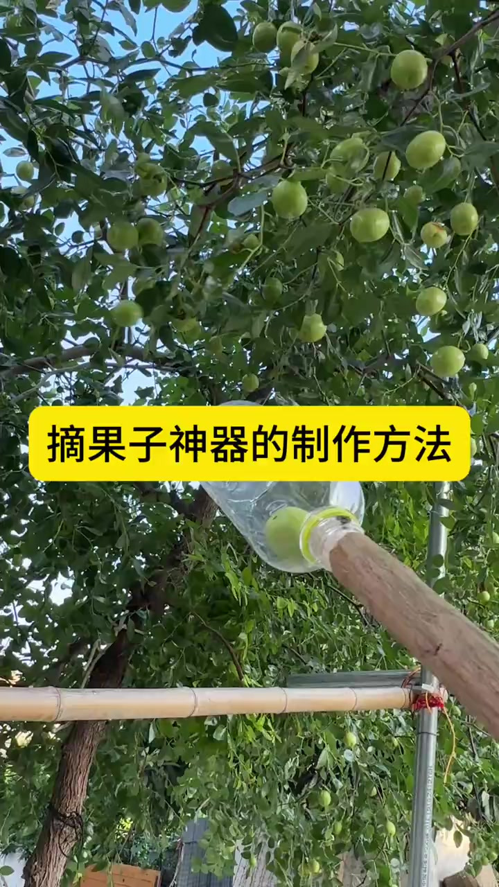 摘果子神器的制作方法