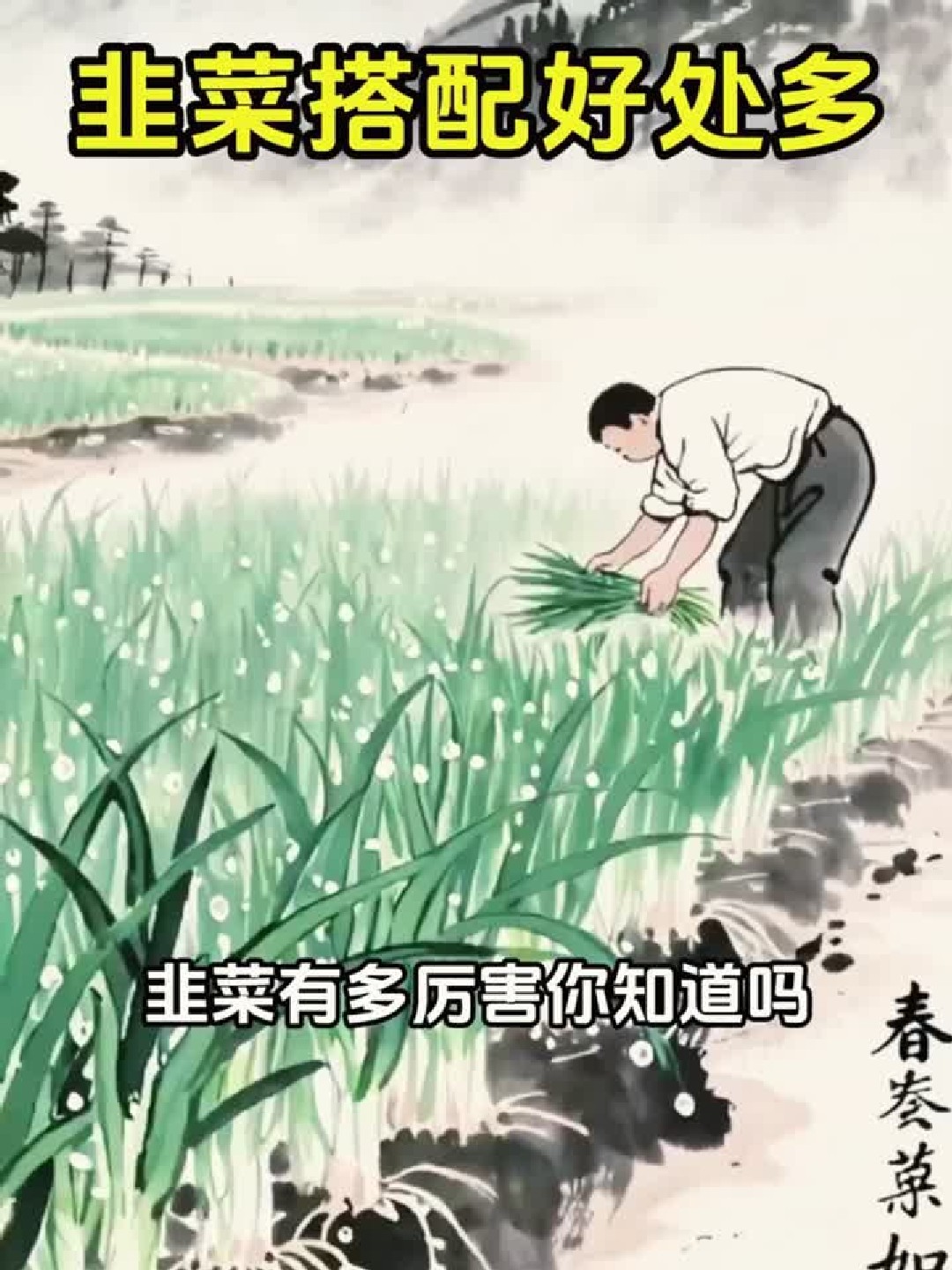 韭菜竟然还有这些神奇功效