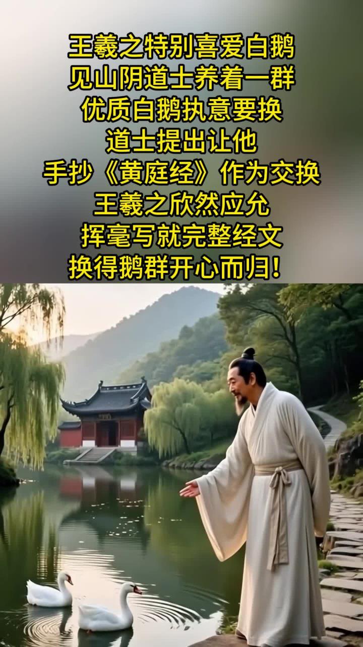 王羲之爱鹅成癖!手抄《黄庭经》!换鹅群!(1)
