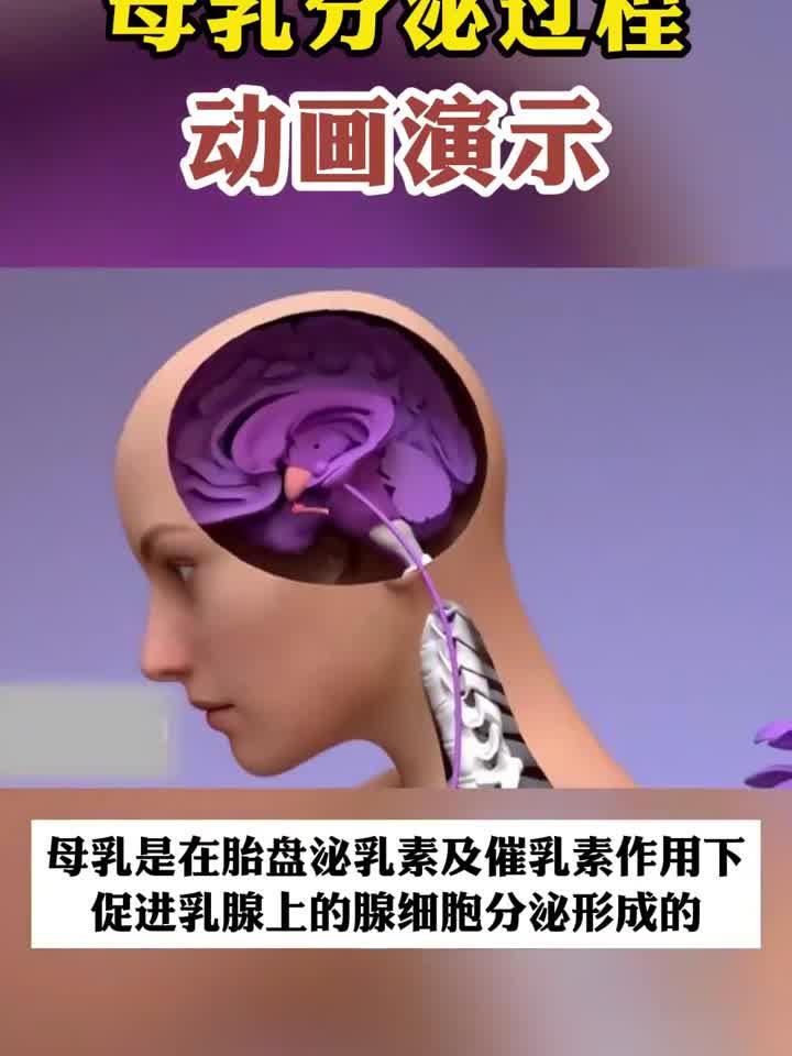 3D动画详解:母乳喂养全过程,乳汁生成全揭秘