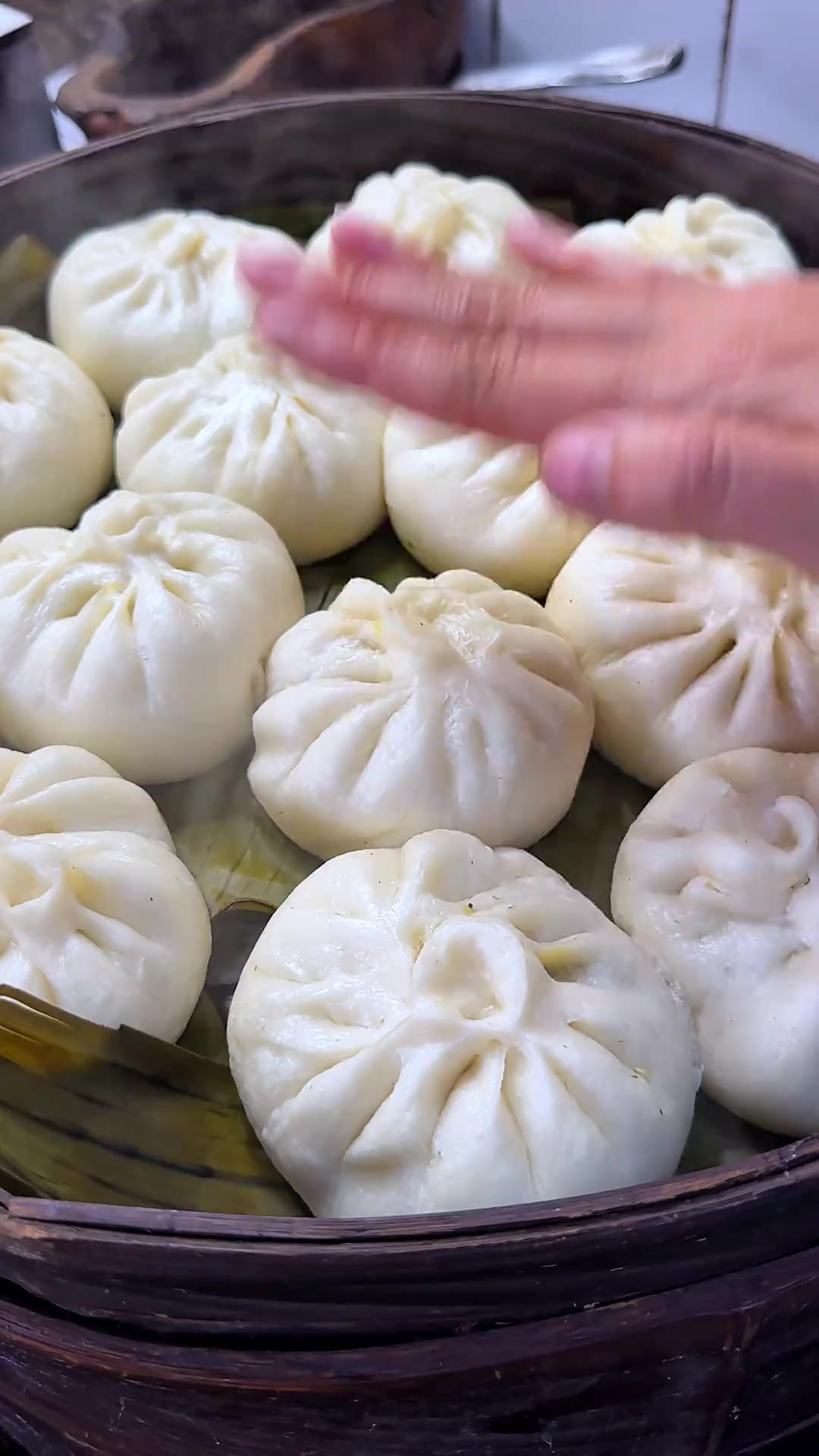 酸菜粉条油渣包子，苜蓿花卷，是不是只有陕南人才能懂的味道