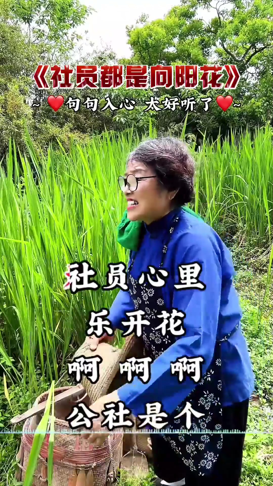 《公社都是向阳花》第5集