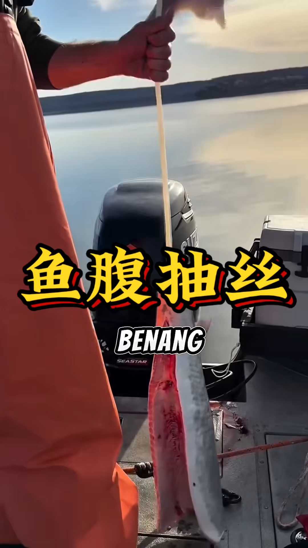 解压感拉满！从鱼腹抽出的神秘“白绳”，竟然是它的脊髓？