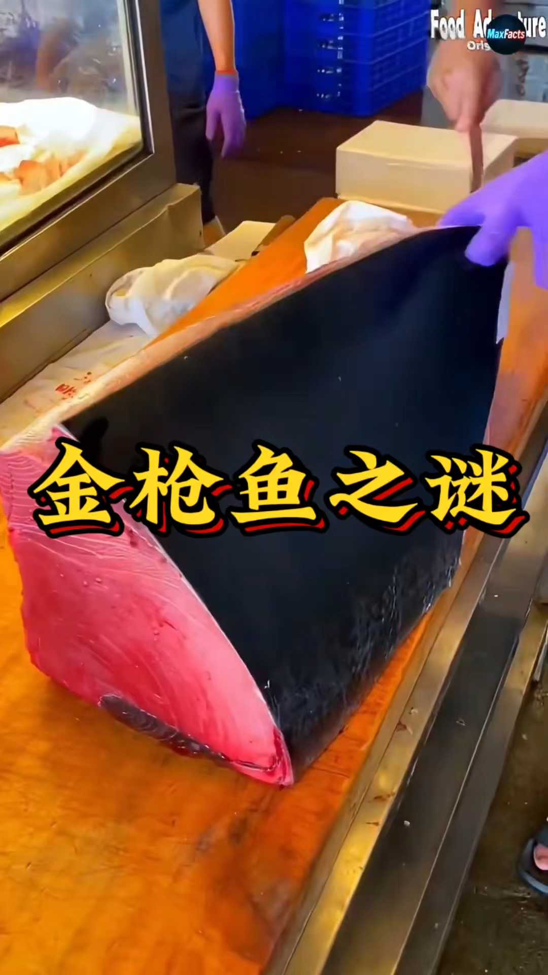 为什么金枪鱼价格天差地别?