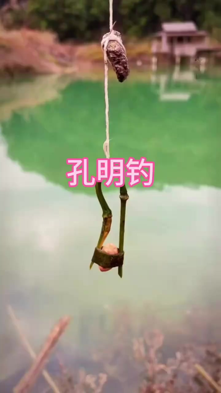 这就是古人钓鱼时所用的孔明钓也称竹卡子钓